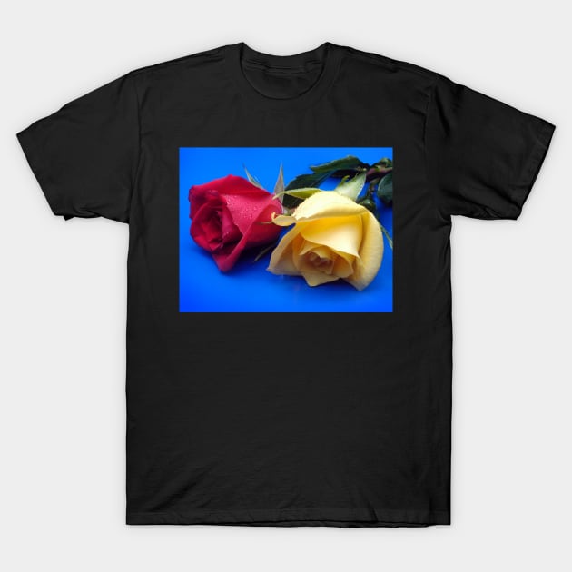 February T-Shirt by wolftinz